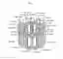 Fig. 06 - BRUSHLESS MOTOR AND ELECTRIC POWER STEERING SYSTEM