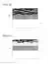 Fig. 02 - Transparent electrode, purifying method of conductive fibers employed in transparent electrode and organic electroluminescence element