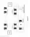 Fig. 05 - Time transfer method and system