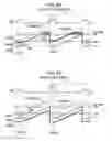 Fig. 06 - PIXEL CIRCUIT, DRIVING METHOD THEREOF, ELECTRO-OPTICAL APPARATUS AND ELECTRONIC DEVICE