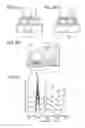 Fig. 03 - Light-emitting element unit and display device