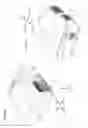 Fig. 02 - PROJECTION DISPLAY DEVICE