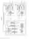 Fig. 02 - Print data conversion processing