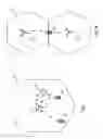 Fig. 02 - Counter check procedure for packet data transmission