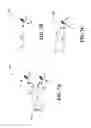 Fig. 08 - Dirty paper coding and reference signal design