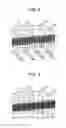 Fig. 06 - Line determination apparatus, line determination method, and computer-readable medium