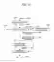 Fig. 09 - Line determination apparatus, line determination method, and computer-readable medium