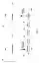 Fig. 06 - Sharpness in Digital Images