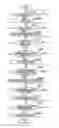 Fig. 01 - Image forming apparatus