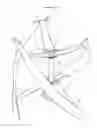 Fig. 01 - Vertical Axis Wind Turbine