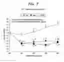 Fig. 08 - ORAL COMPOSITION