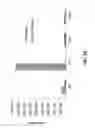 Fig. 25 - CYCLIN DEPENDENT KINASE INHIBITORS AND METHODS OF USE