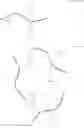 Fig. 09 - In situ forming hydrogel and biomedical use thereof