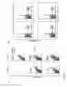 Fig. 03 - Regionalised endoderm cells and uses thereof