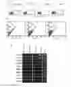 Fig. 04 - Regionalised endoderm cells and uses thereof