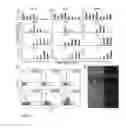 Fig. 06 - Regionalised endoderm cells and uses thereof