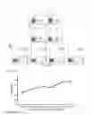 Fig. 41 - Regionalised endoderm cells and uses thereof