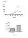 Fig. 06 - METHODS FOR DETERMINING THE ONCOGENIC CONDITION OF CELL, USES THEREOF, AND METHODS FOR TREATING CANCER