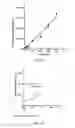 Fig. 13 - METHODS FOR DETERMINING THE ONCOGENIC CONDITION OF CELL, USES THEREOF, AND METHODS FOR TREATING CANCER