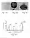 Fig. 08 - Methods of and compositions for inhibiting the proliferation of mammalian cells