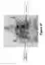 Fig. 30 - Methods of and compositions for inhibiting the proliferation of mammalian cells
