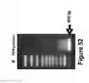 Fig. 45 - Methods of and compositions for inhibiting the proliferation of mammalian cells