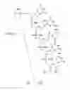 Fig. 40 - METHODS FOR TREATING OR PREVENTING OPHTHALMOLOGICAL DISEASES
