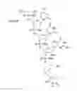 Fig. 41 - METHODS FOR TREATING OR PREVENTING OPHTHALMOLOGICAL DISEASES