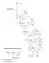 Fig. 42 - METHODS FOR TREATING OR PREVENTING OPHTHALMOLOGICAL DISEASES