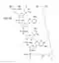 Fig. 43 - METHODS FOR TREATING OR PREVENTING OPHTHALMOLOGICAL DISEASES
