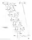 Fig. 45 - METHODS FOR TREATING OR PREVENTING OPHTHALMOLOGICAL DISEASES