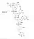Fig. 47 - METHODS FOR TREATING OR PREVENTING OPHTHALMOLOGICAL DISEASES
