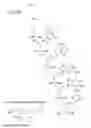 Fig. 48 - METHODS FOR TREATING OR PREVENTING OPHTHALMOLOGICAL DISEASES