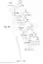 Fig. 50 - METHODS FOR TREATING OR PREVENTING OPHTHALMOLOGICAL DISEASES