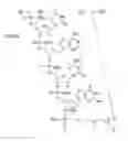 Fig. 55 - METHODS FOR TREATING OR PREVENTING OPHTHALMOLOGICAL DISEASES