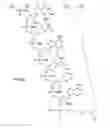 Fig. 57 - METHODS FOR TREATING OR PREVENTING OPHTHALMOLOGICAL DISEASES