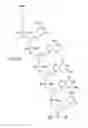 Fig. 66 - METHODS FOR TREATING OR PREVENTING OPHTHALMOLOGICAL DISEASES