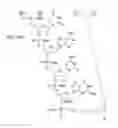 Fig. 67 - METHODS FOR TREATING OR PREVENTING OPHTHALMOLOGICAL DISEASES