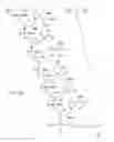 Fig. 69 - METHODS FOR TREATING OR PREVENTING OPHTHALMOLOGICAL DISEASES