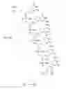Fig. 76 - METHODS FOR TREATING OR PREVENTING OPHTHALMOLOGICAL DISEASES