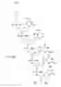 Fig. 78 - METHODS FOR TREATING OR PREVENTING OPHTHALMOLOGICAL DISEASES