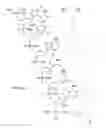Fig. 81 - METHODS FOR TREATING OR PREVENTING OPHTHALMOLOGICAL DISEASES