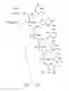 Fig. 82 - METHODS FOR TREATING OR PREVENTING OPHTHALMOLOGICAL DISEASES