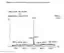 Fig. 24 - Drug fusions and conjugates