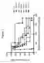 Fig. 02 - Methods for treating B-cell lymphoma by administering an anti-CD20 antibody