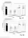 Fig. 06 - Anti-KTPAF50 antibodies and their uses in therapeutic and diagnostic methods
