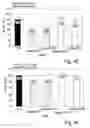 Fig. 07 - Anti-KTPAF50 antibodies and their uses in therapeutic and diagnostic methods