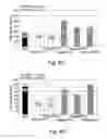 Fig. 13 - Anti-KTPAF50 antibodies and their uses in therapeutic and diagnostic methods