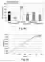 Fig. 14 - Anti-KTPAF50 antibodies and their uses in therapeutic and diagnostic methods