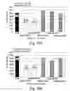 Fig. 18 - Anti-KTPAF50 antibodies and their uses in therapeutic and diagnostic methods